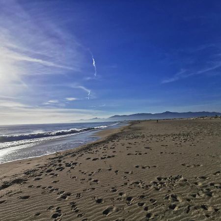 Appartement Climatise Vue Mer 208 Canet-en-Roussillon Luaran gambar